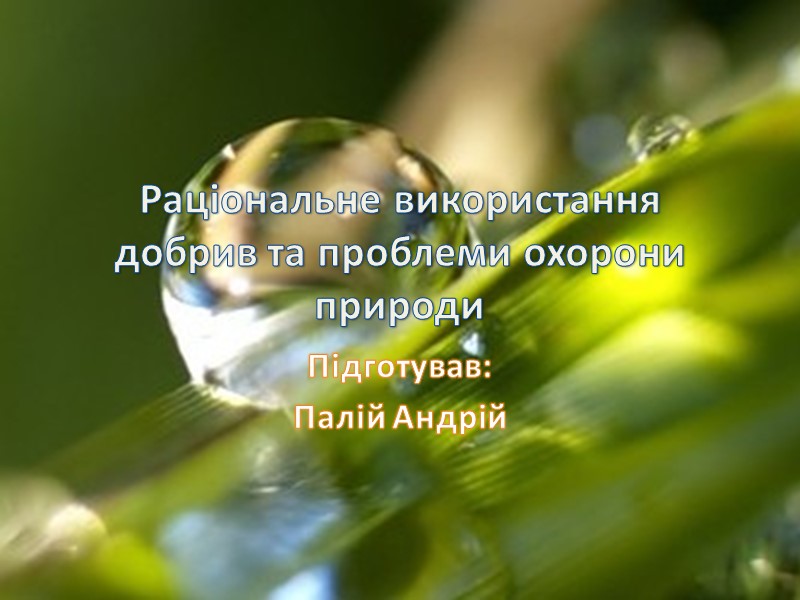 Раціональне використання добрив та проблеми охорони природи  Підготував: Палій Андрій